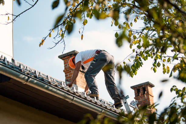 Roof Gutter Cleaning in Highland, NY
